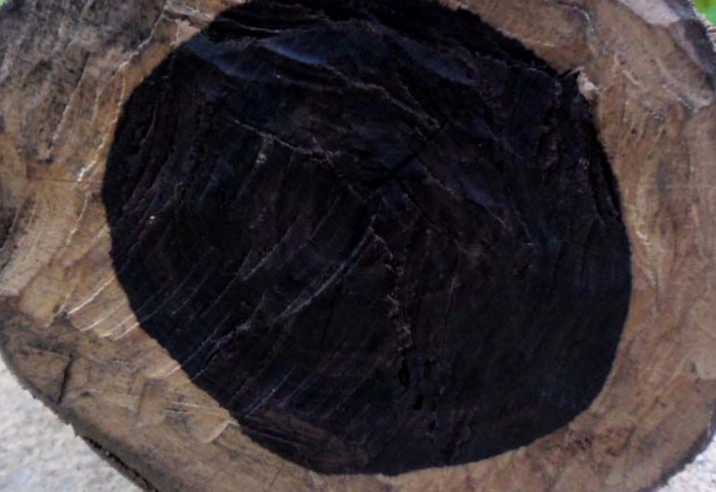 African Blackwood